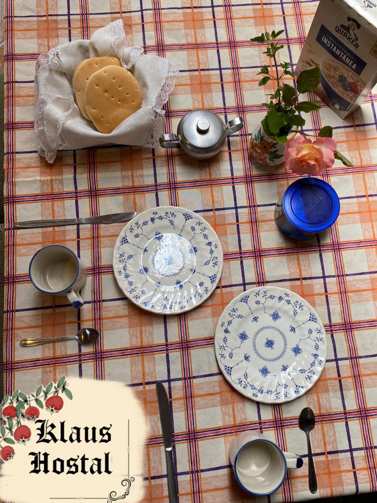 Hostal Klaus プコン エクステリア 写真